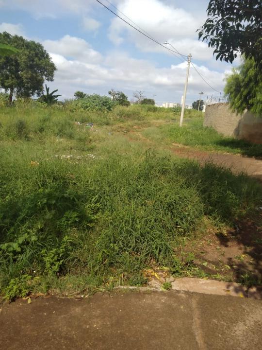 Foto 9 de 19 — Reclamação: “Onde deveria ser uma rua, só tem mato, lixo e água parada”, diz morador
